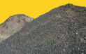 Arenas de Arexna